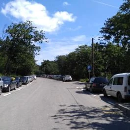 Pécsi Állatkert Pécs - Egyéb