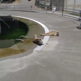 Pécsi Állatkert Pécs - Egyéb