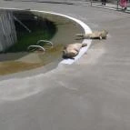 Pécsi Állatkert Pécs - 