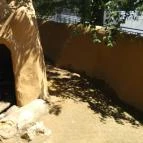 Pécsi Állatkert Pécs - 