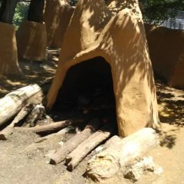 Pécsi Állatkert Pécs - Egyéb