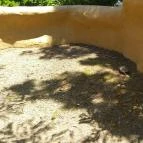 Pécsi Állatkert Pécs - 