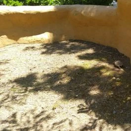 Pécsi Állatkert Pécs - Egyéb