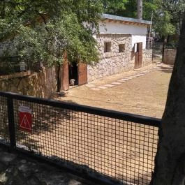 Pécsi Állatkert Pécs - Egyéb