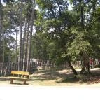 Pécsi Állatkert Pécs - 