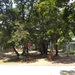 Pécsi Állatkert Pécs - Egyéb