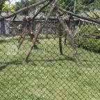 Pécsi Állatkert Pécs - 