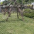 Pécsi Állatkert Pécs - 