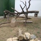 Pécsi Állatkert Pécs - 