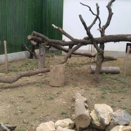 Pécsi Állatkert Pécs - Egyéb