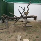 Pécsi Állatkert Pécs - 