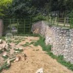 Pécsi Állatkert Pécs - 