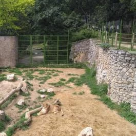 Pécsi Állatkert Pécs - Egyéb