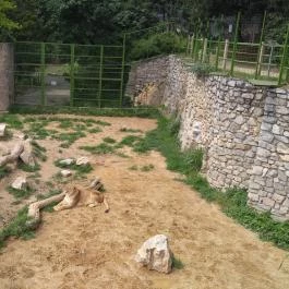 Pécsi Állatkert Pécs - Egyéb