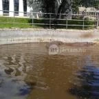 Pécsi Állatkert Pécs - 