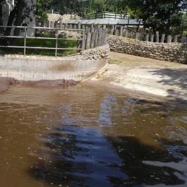 Pécsi Állatkert Pécs - Egyéb