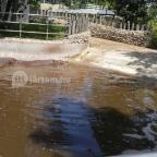 Pécsi Állatkert Pécs - 