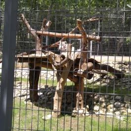 Pécsi Állatkert Pécs - Egyéb