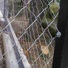 Pécsi Állatkert Pécs - Egyéb