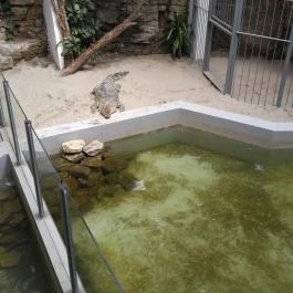 Pécsi Állatkert Pécs - Egyéb