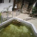 Pécsi Állatkert Pécs - 