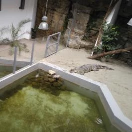 Pécsi Állatkert Pécs - Egyéb