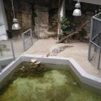 Pécsi Állatkert Pécs - 