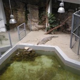 Pécsi Állatkert Pécs - Egyéb