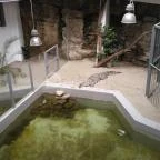 Pécsi Állatkert Pécs - 