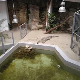 Pécsi Állatkert Pécs - Egyéb