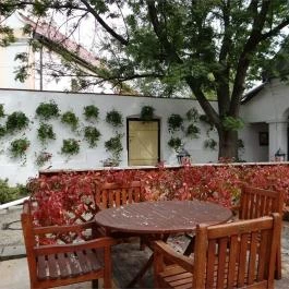 Platthy Kastélyszálló Bánhorváti - Medence/kert