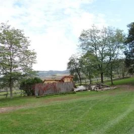 Platthy Kastélyszálló Bánhorváti - Környék