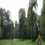 Platthy Kastélyszálló Bánhorváti - Környék