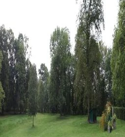 Platthy Kastélyszálló