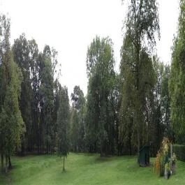 Platthy Kastélyszálló Bánhorváti - Környék