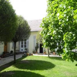 Sárffy Uradalmi Vendégház, Dörgicse - Medence/kert