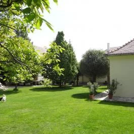 Sárffy Uradalmi Vendégház, Dörgicse - Medence/kert