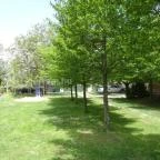 Sárffy Uradalmi Vendégház Dörgicse - Medence/kert