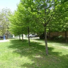 Sárffy Uradalmi Vendégház, Dörgicse - Medence/kert