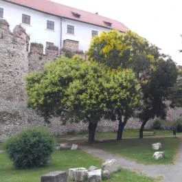 Siklósi Vár Siklós - Egyéb