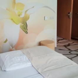 Ambient Hotel & ThermalSPA**** Sikonda - Szobák