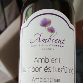 Ambient Hotel & ThermalSPA**** Sikonda - Egyéb