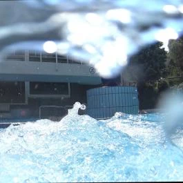 Ensana Thermal Aqua Hévíz - Medence/kert