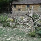 Veszprémi Állatkert Veszprém - 