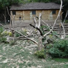 Veszprémi Állatkert Veszprém - Egyéb