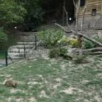 Veszprémi Állatkert Veszprém - 