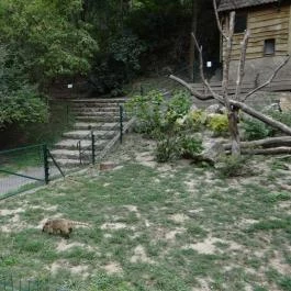 Veszprémi Állatkert Veszprém - Egyéb