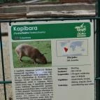 Veszprémi Állatkert Veszprém - 