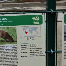 Veszprémi Állatkert Veszprém - Egyéb