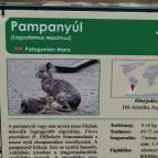 Veszprémi Állatkert Veszprém - 